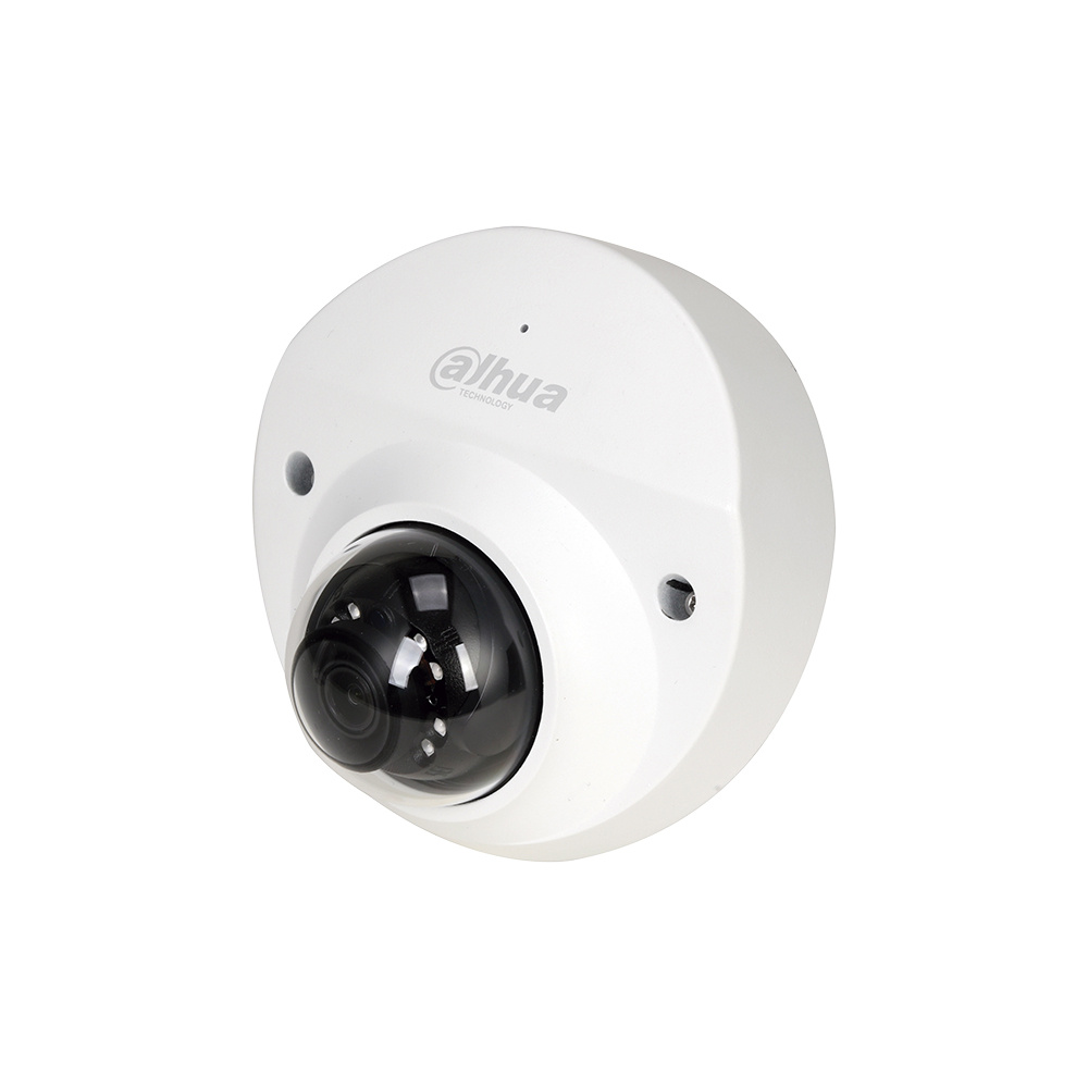 Cámara Domo IP IR Visión Nocturna 30M 4MP IP67 Dahua - Imagen 2