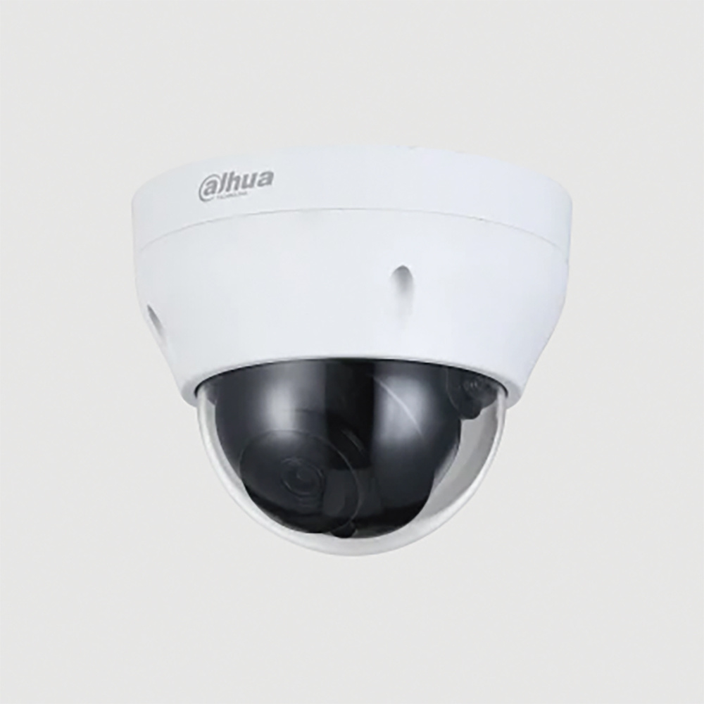 Cámara Domo IP Visión Nocturna 2MP IP67 Dahua - Imagen 2