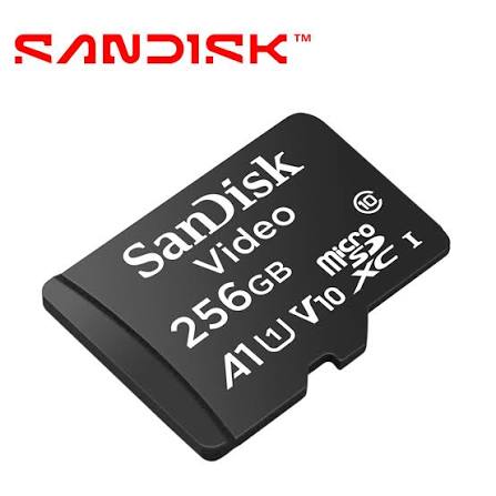 Memoria Micro SD Profesional Videovigilancia 256 gb Ultra Resistencia Sandisk